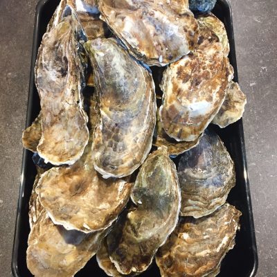 Oesters (Creuses)